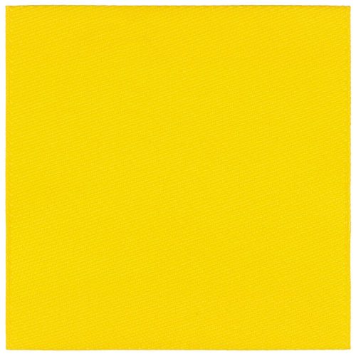 Лейбл тканевый Epsilon, L, желтый