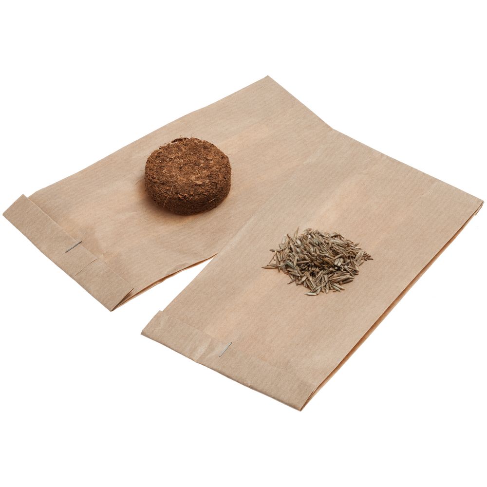 Набор для выращивания Funky Headman — изображение 7