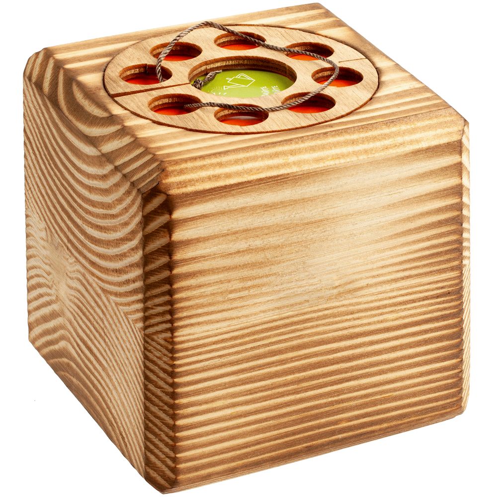 Набор для выращивания с органайзером «Экокуб Burn», сосна — изображение 4