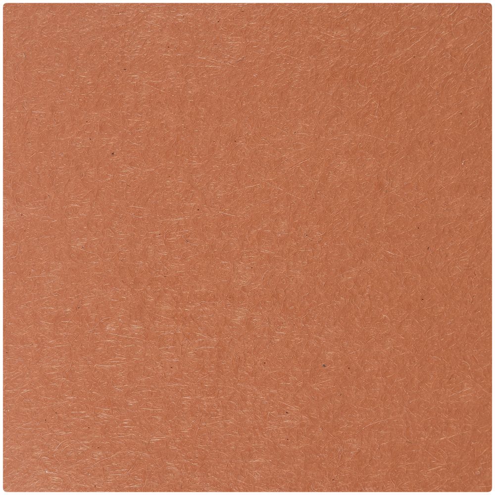 Лейбл Shan Nubuсk, L, коричневый — изображение 3