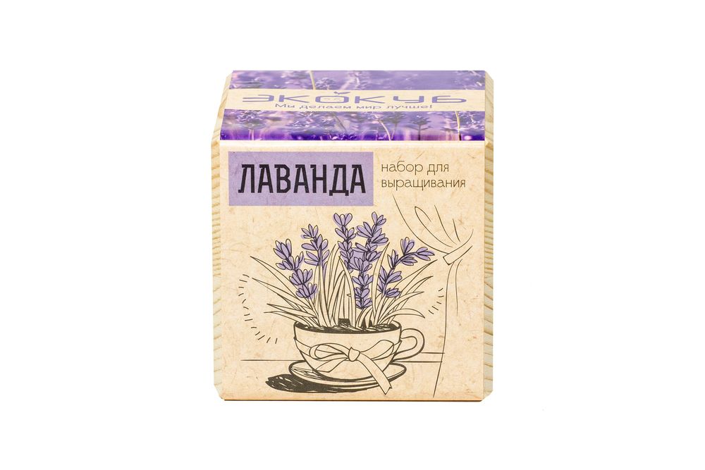 Набор для выращивания «Экокуб», лаванда — изображение 3