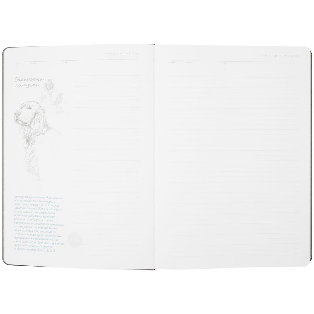 Ежедневник «История изобретений», недатированный, серый — изображение 8