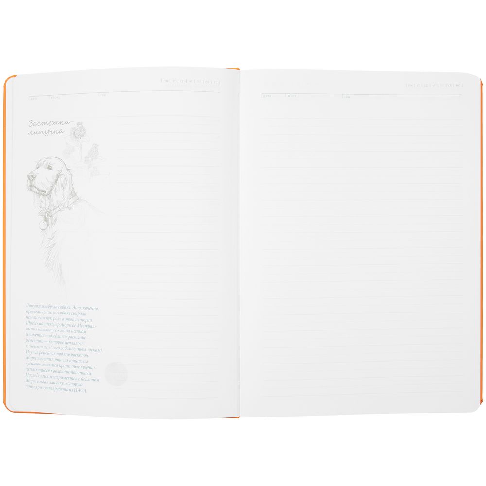 Ежедневник «История изобретений», недатированный, оранжевый — изображение 8