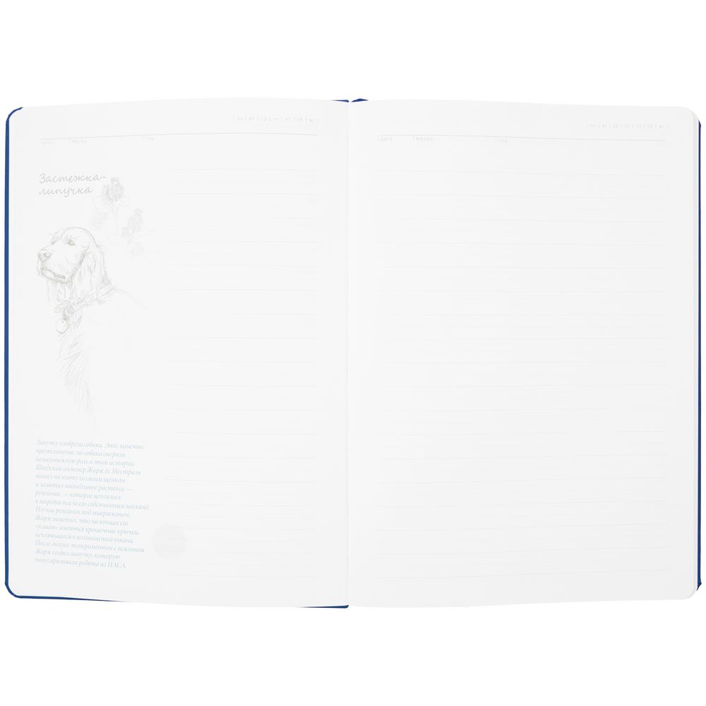 Ежедневник «История изобретений», недатированный, синий — изображение 8
