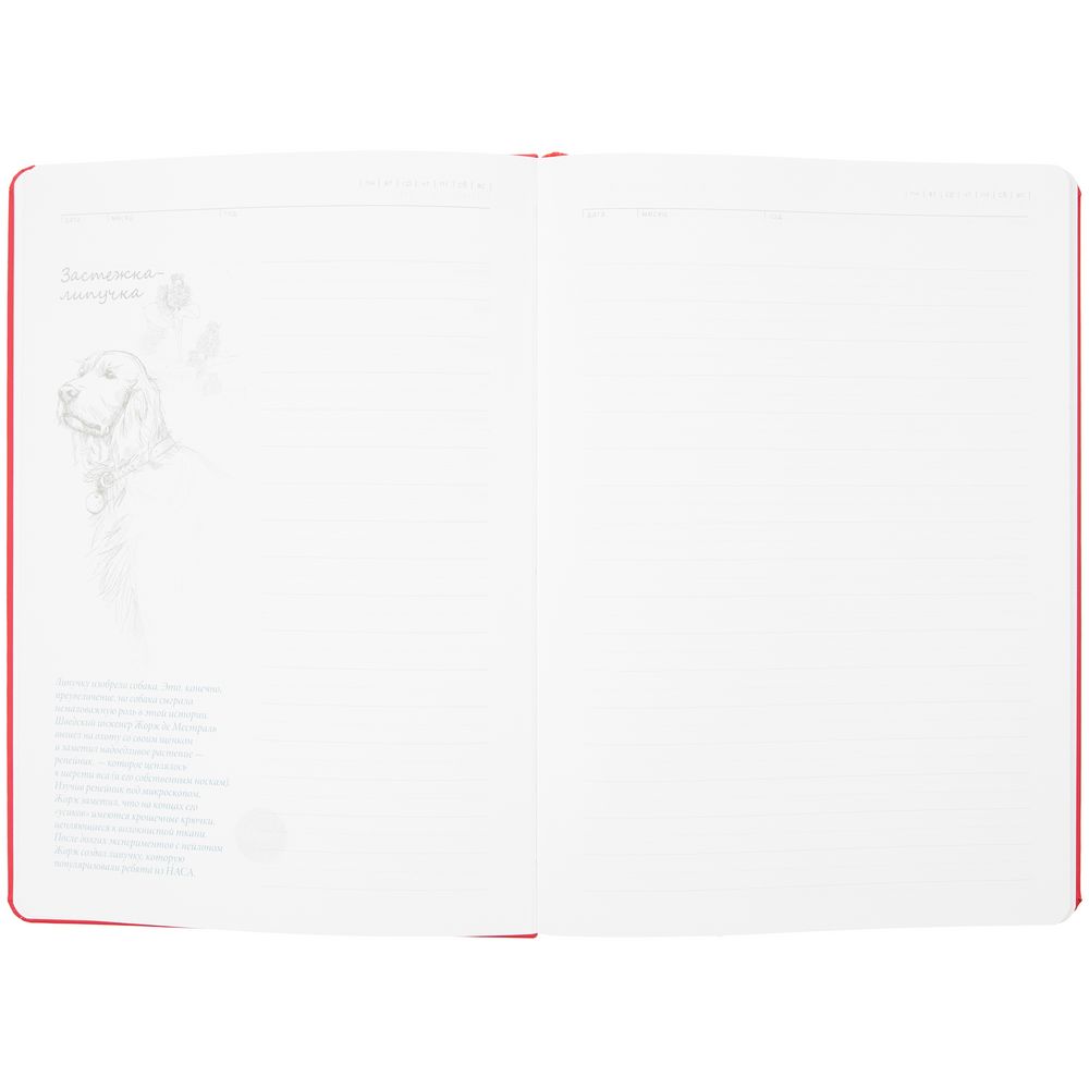 Ежедневник «История изобретений», недатированный, красный — изображение 8