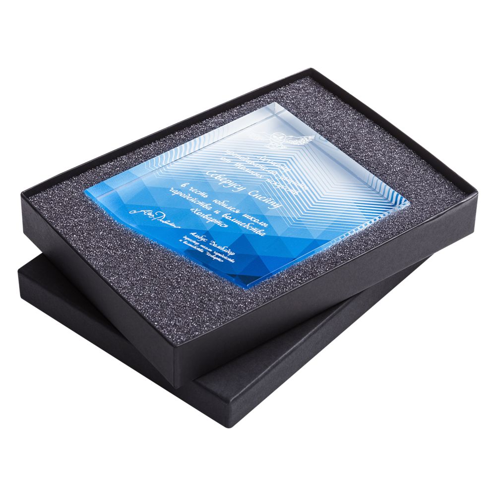 Награда «Точка опоры» — изображение 5