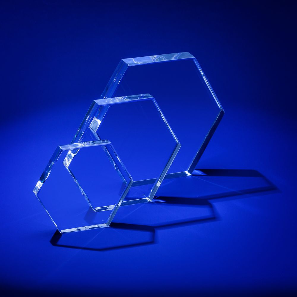 Награда Bee, большая — изображение 4