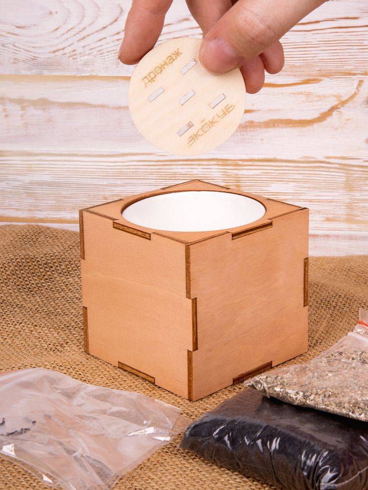 Набор для выращивания «Экокуб Lite», сирень — изображение 11