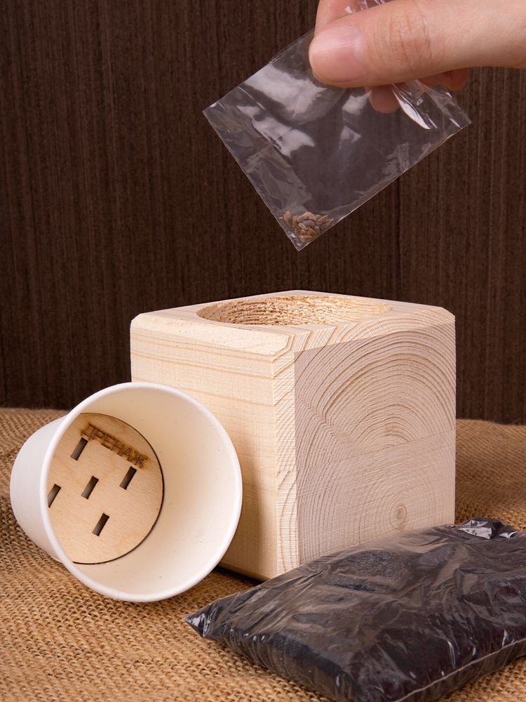 Набор для выращивания «Экокуб», сосна — изображение 7