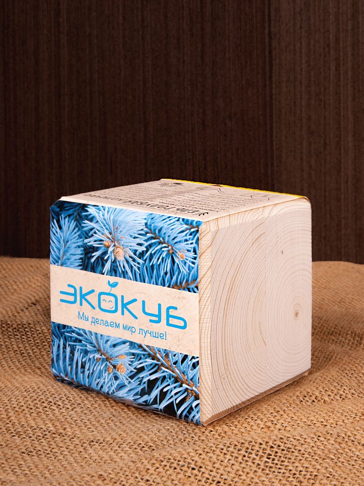 Набор для выращивания «Экокуб», ель голубая — изображение 9