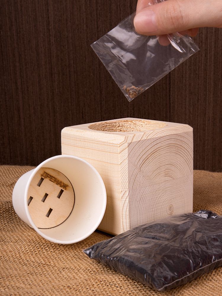 Набор для выращивания «Экокуб», ель голубая — изображение 6