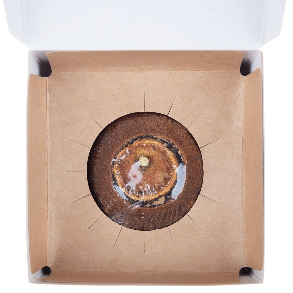 Черный чай Citrus в апельсине с маслом лайма — изображение 4