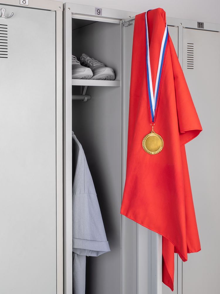 Медаль Regalia, большая, золотистая — изображение 7