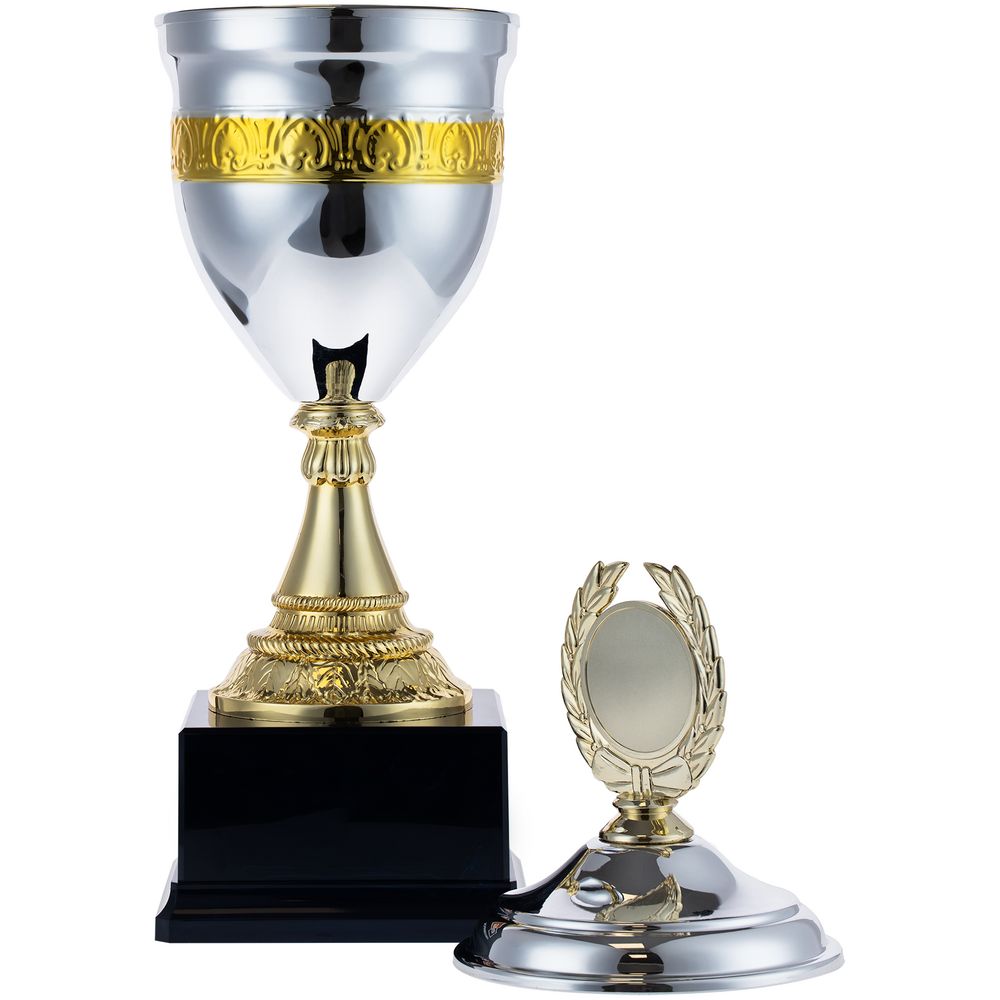 Кубок EnterPrize, серебристый — изображение 4