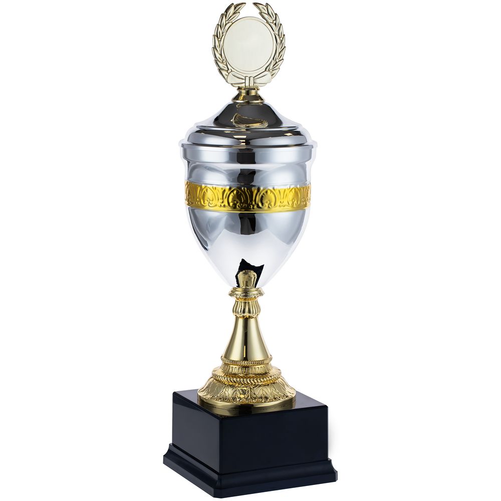 Кубок EnterPrize, серебристый — изображение 3