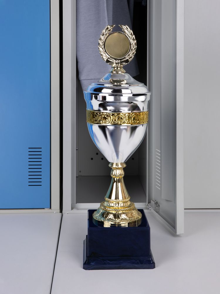 Кубок EnterPrize, серебристый — изображение 6