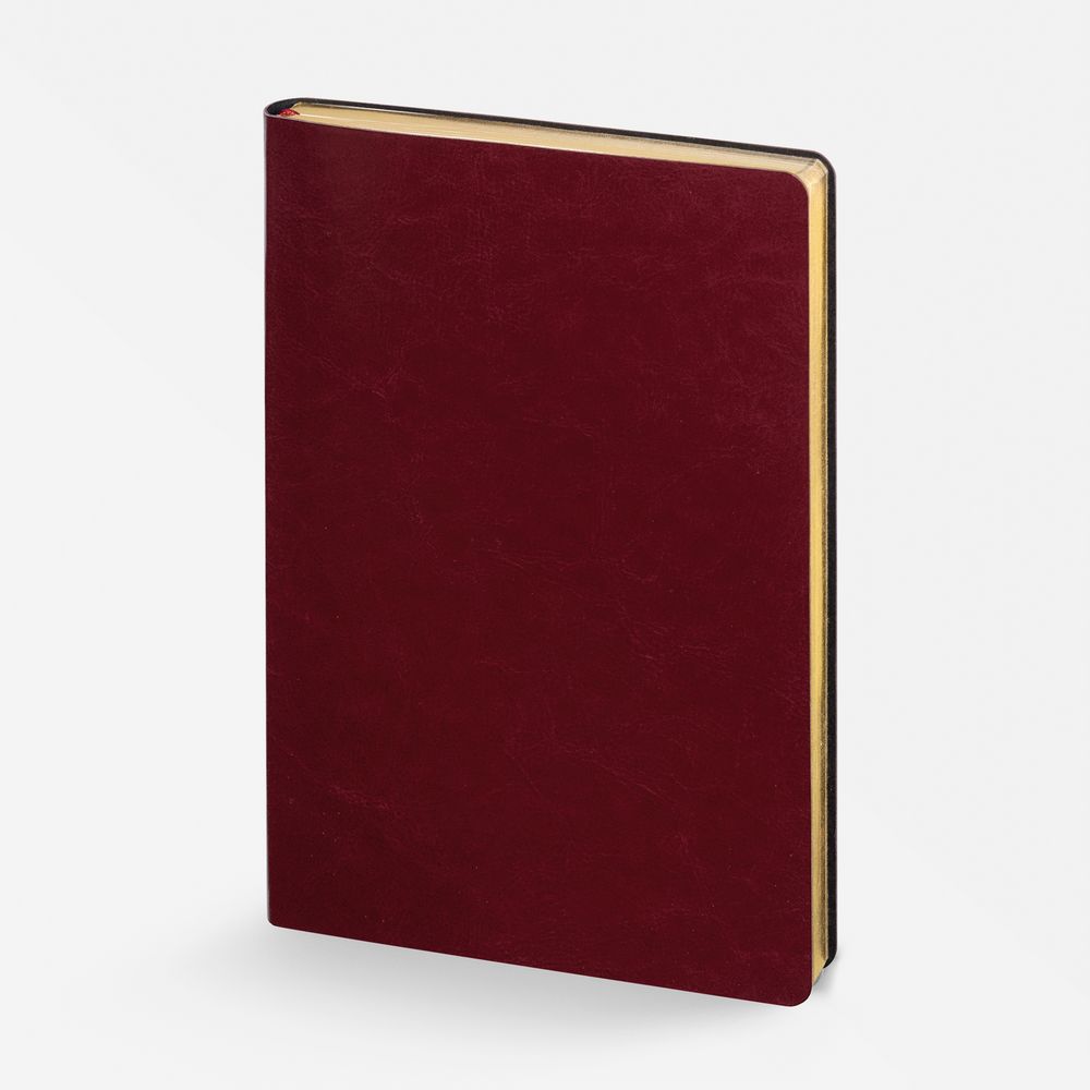 Набор Nebraska Flex, бордовый с серебристым — изображение 4