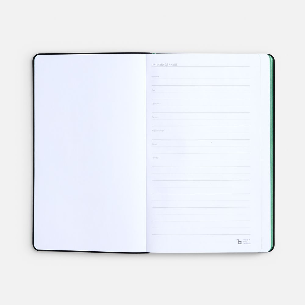 Ежедневник Nice Twice, недатированный, черный с ярко-зеленым — изображение 9