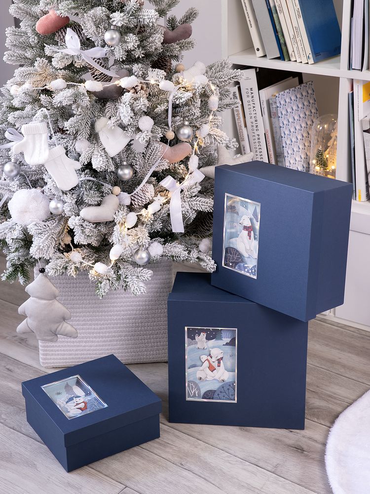 Коробка The Blue Bear, L — изображение 5