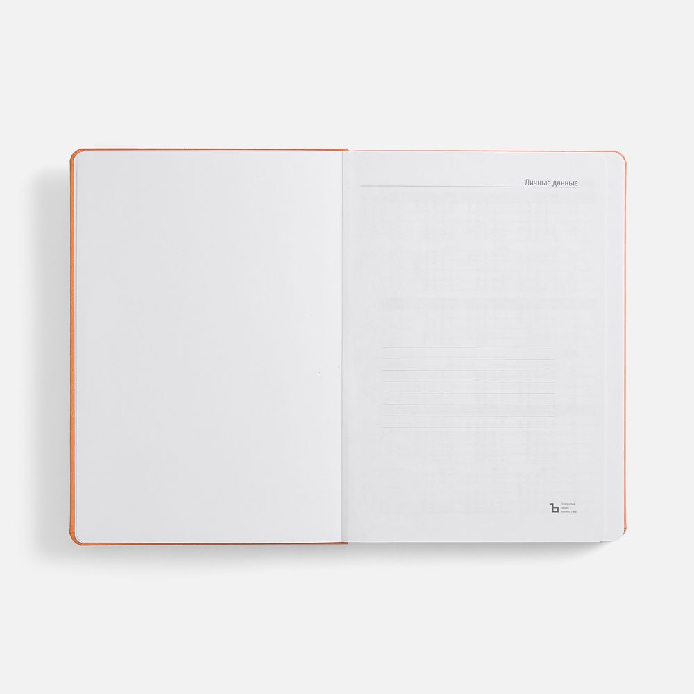 Ежедневник Basis, датированный, оранжевый — изображение 7